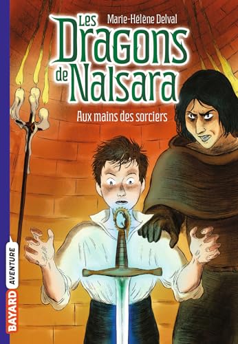 Dragons de Nalsara (Les): Aux mains des sorciers