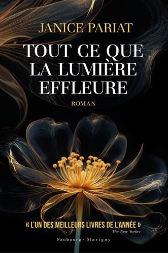 Tout ce que la lumière effleure